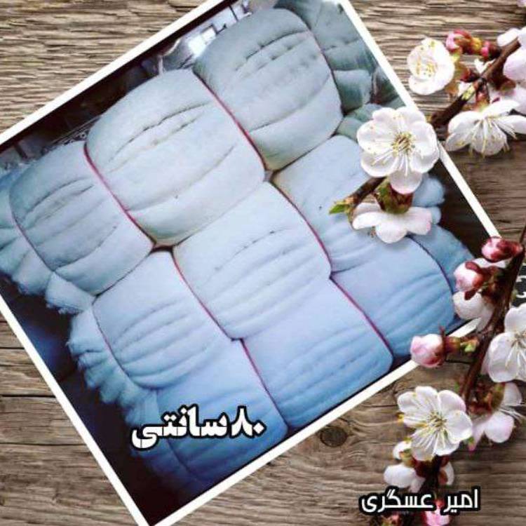 1698133596243.webp