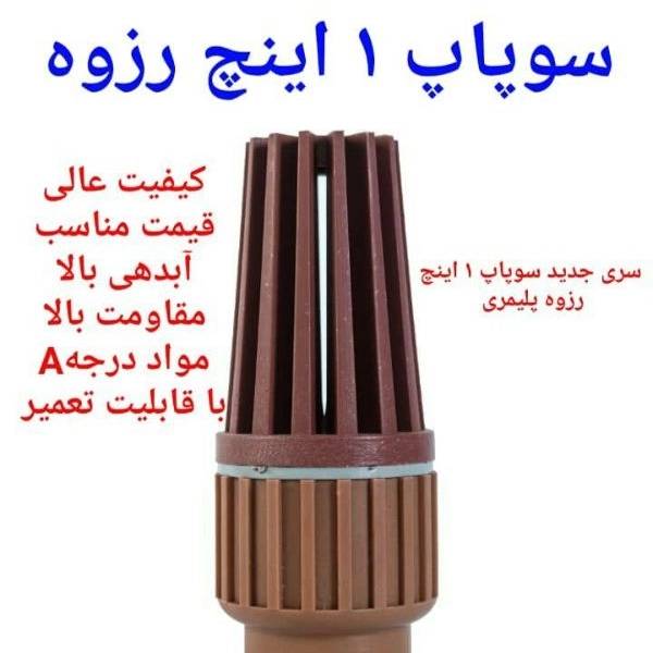 1699779888853.webp