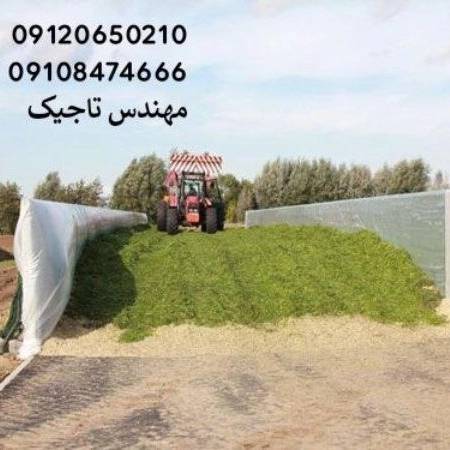 1699950639186.webp