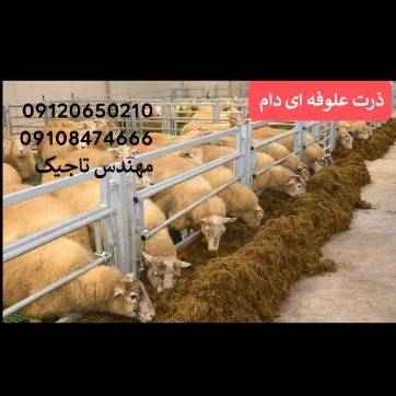 1699951133568.webp
