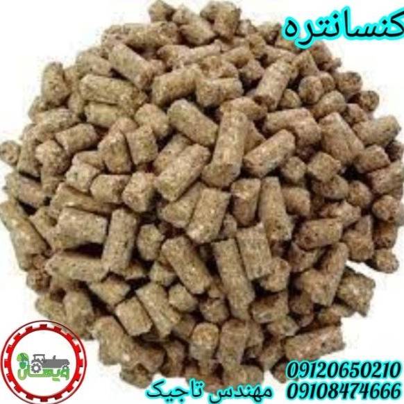 1700026534141.webp