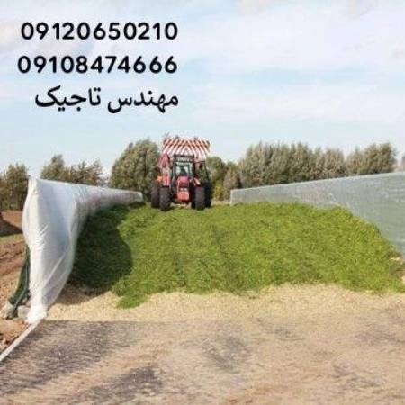 1700026753362.webp