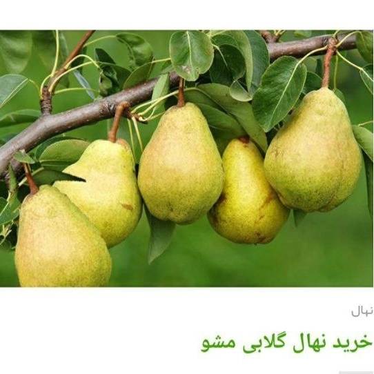 1705224884328.webp