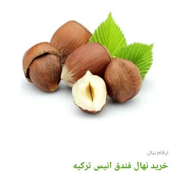 1705225452436.webp