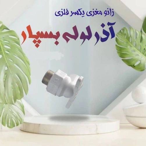 1709100843925.webp