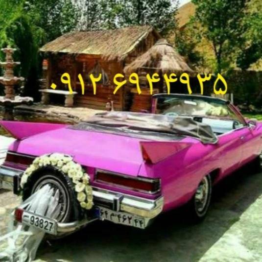 1712366500621.webp