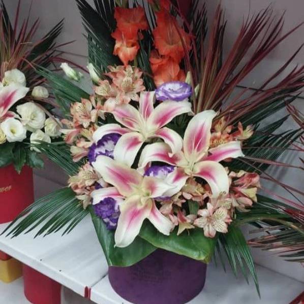 1715410524916.webp