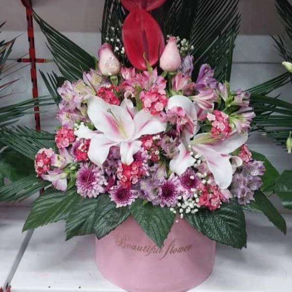 1715410620103.webp