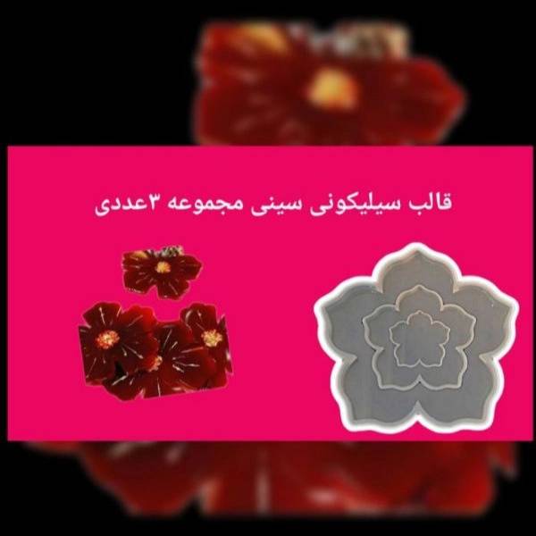 1715425452049.webp