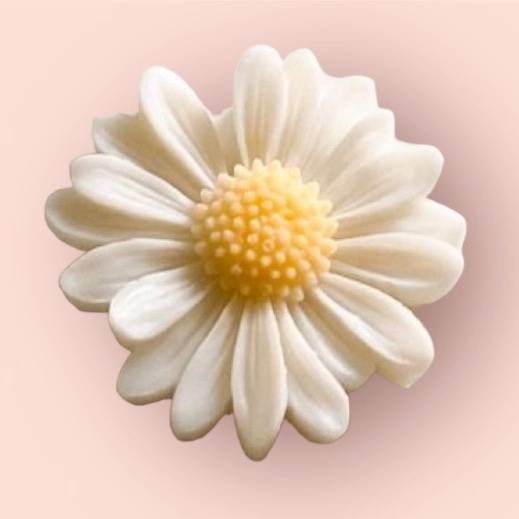 1719251864492.webp