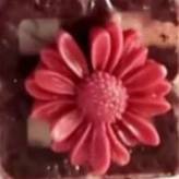 1719350212840.webp