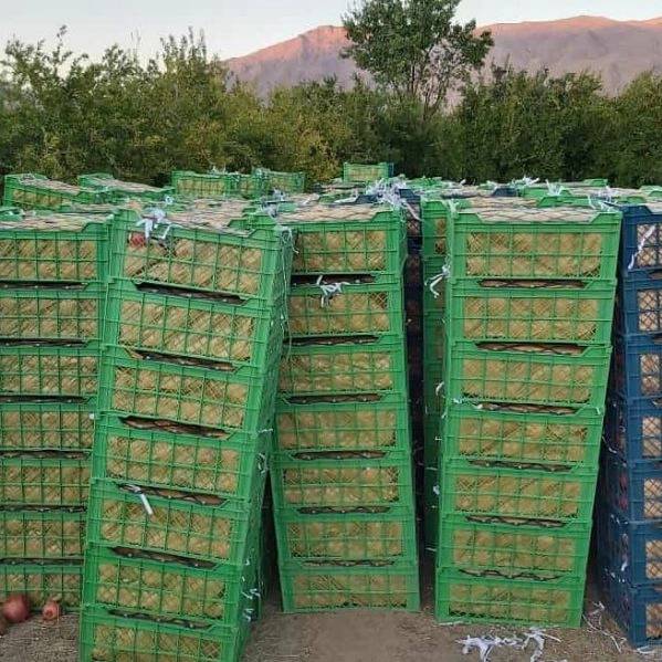1720849104912.webp