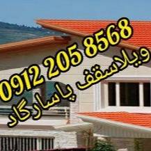 1726301295494.webp