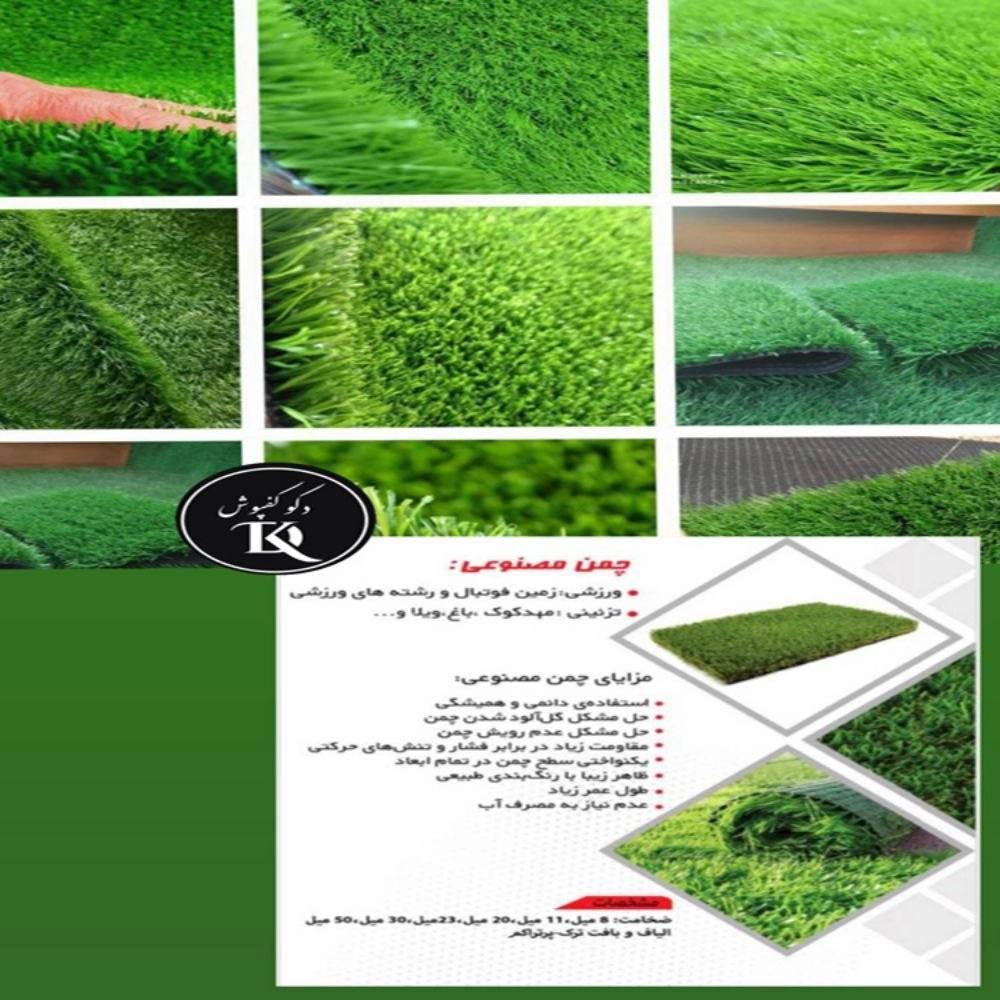 1728192124675.webp