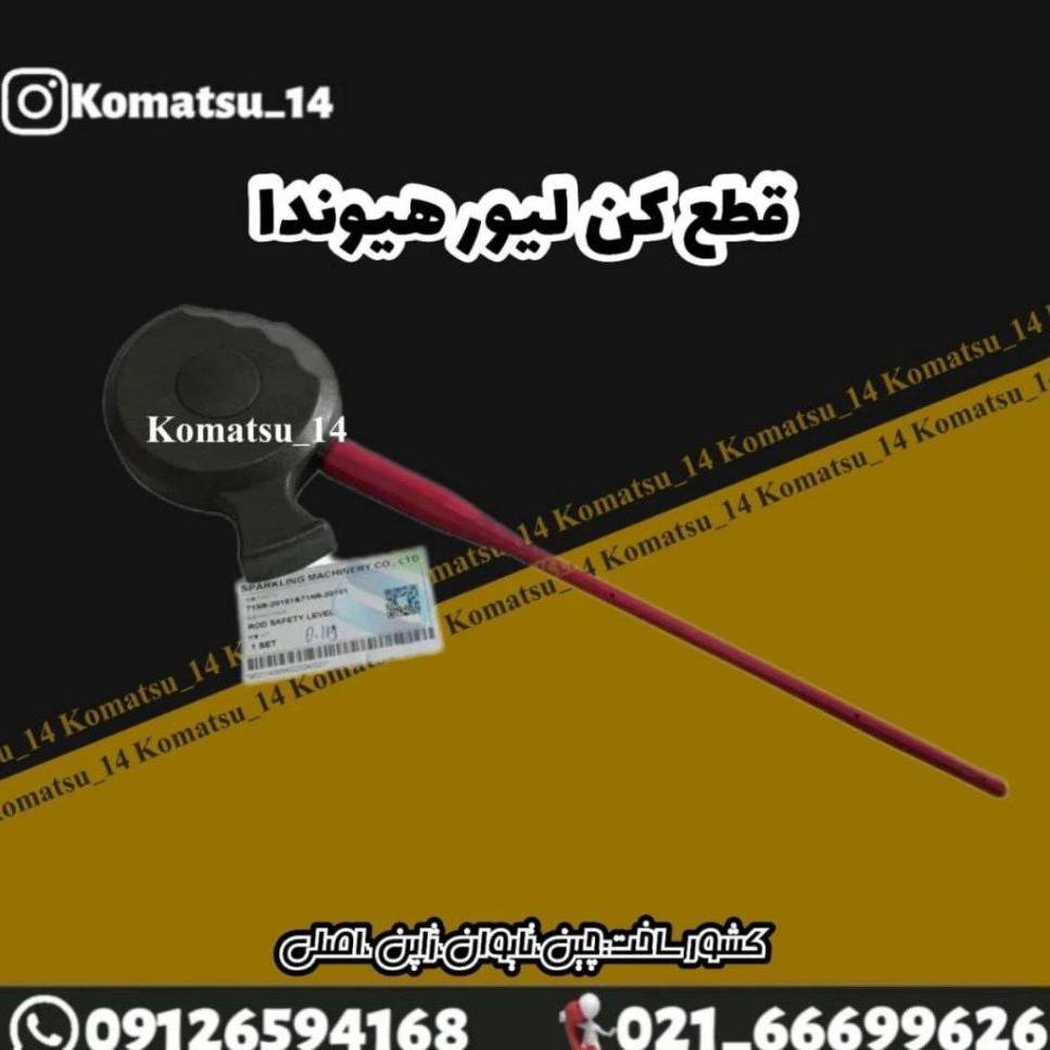 1732954083672.webp
