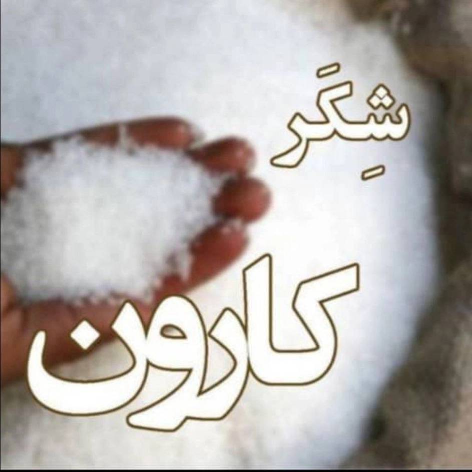 1734340188746.webp