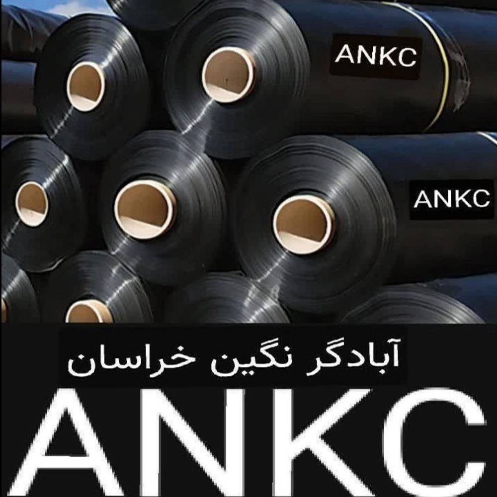 1737611534990.webp