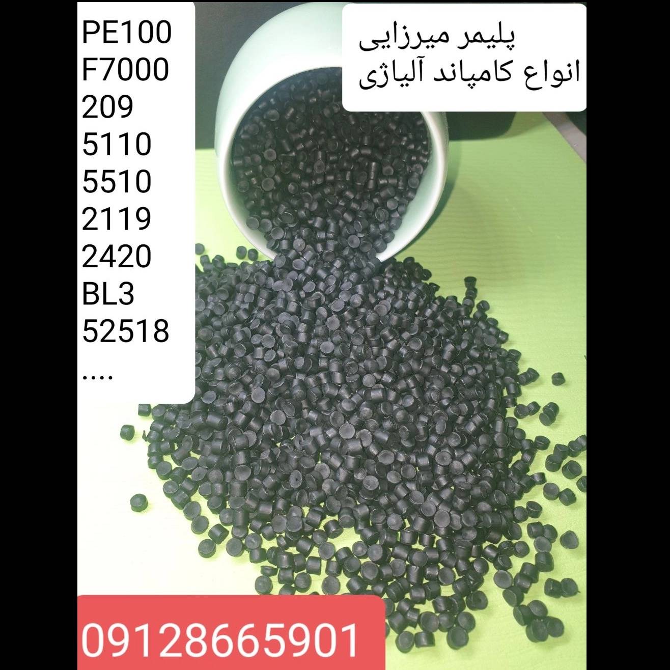 1738606587570.webp
