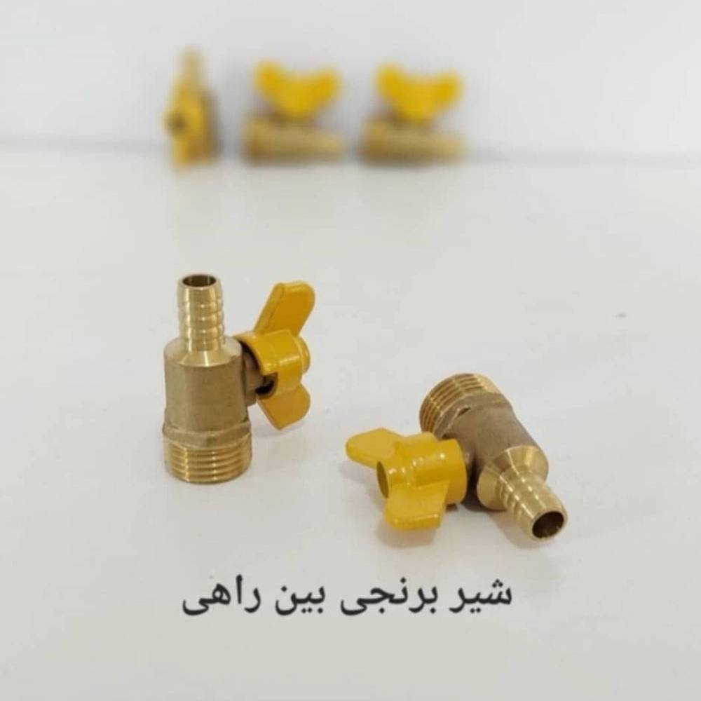 1738655482251.webp