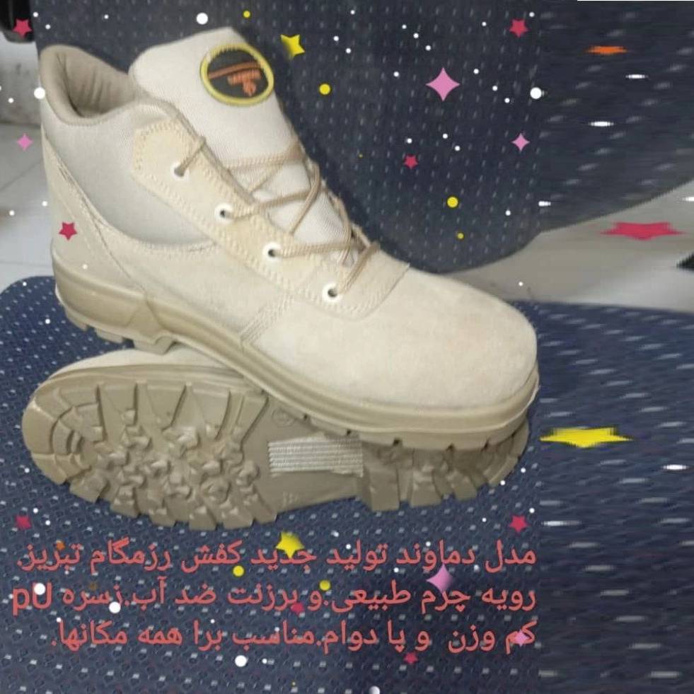 1739003282996.webp