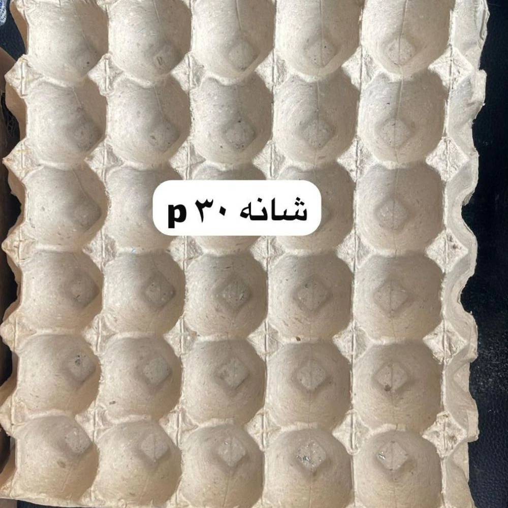 1739427024925.webp