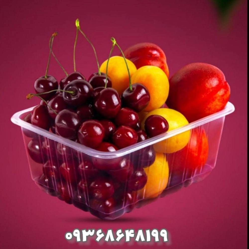 1740044527957.webp