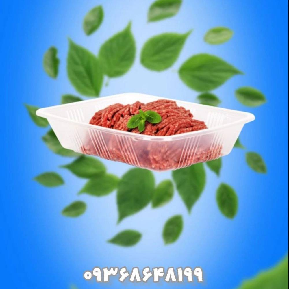 1740044823644.webp