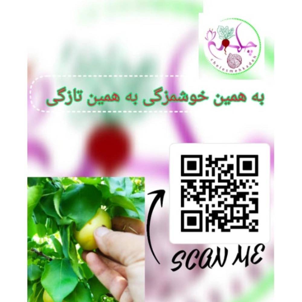 1747726791538.webp
