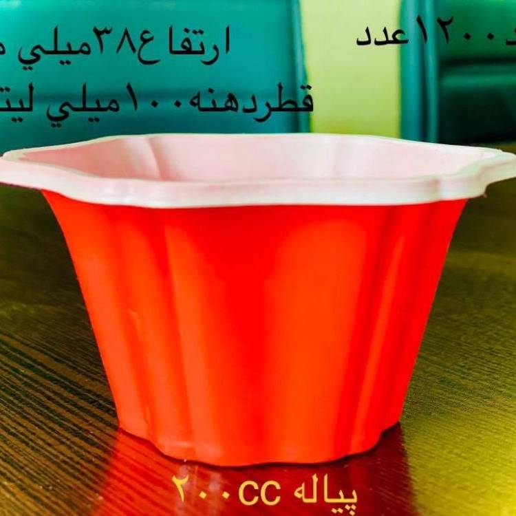 1753606034060.webp