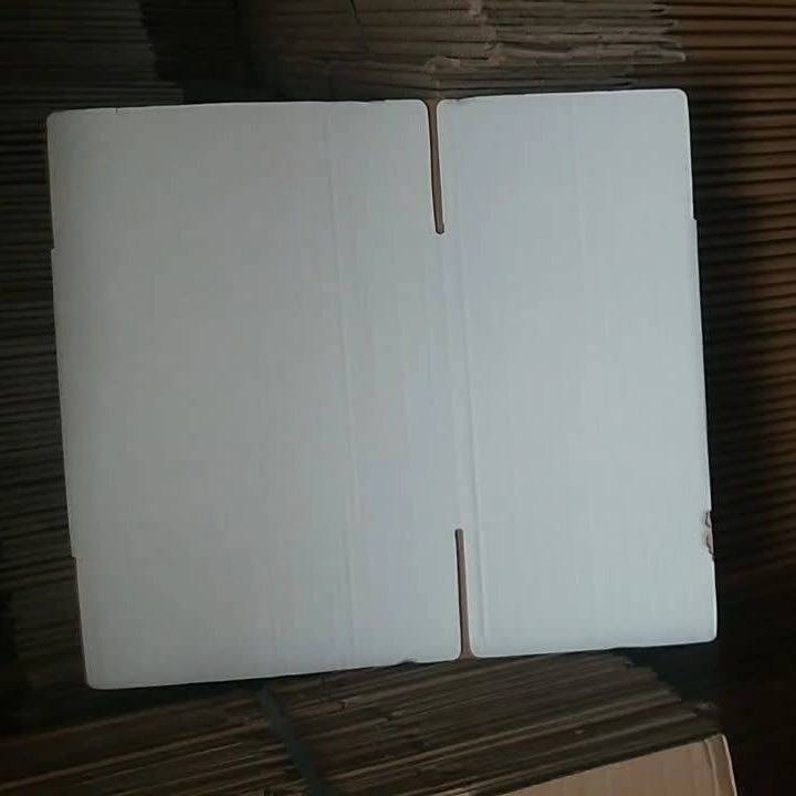 1781122327199.webp