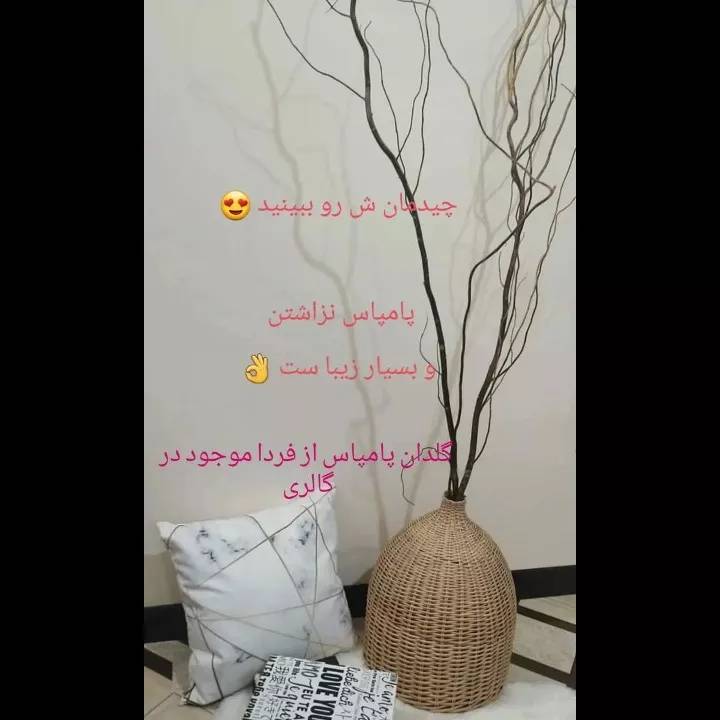 1691044150891.webp
