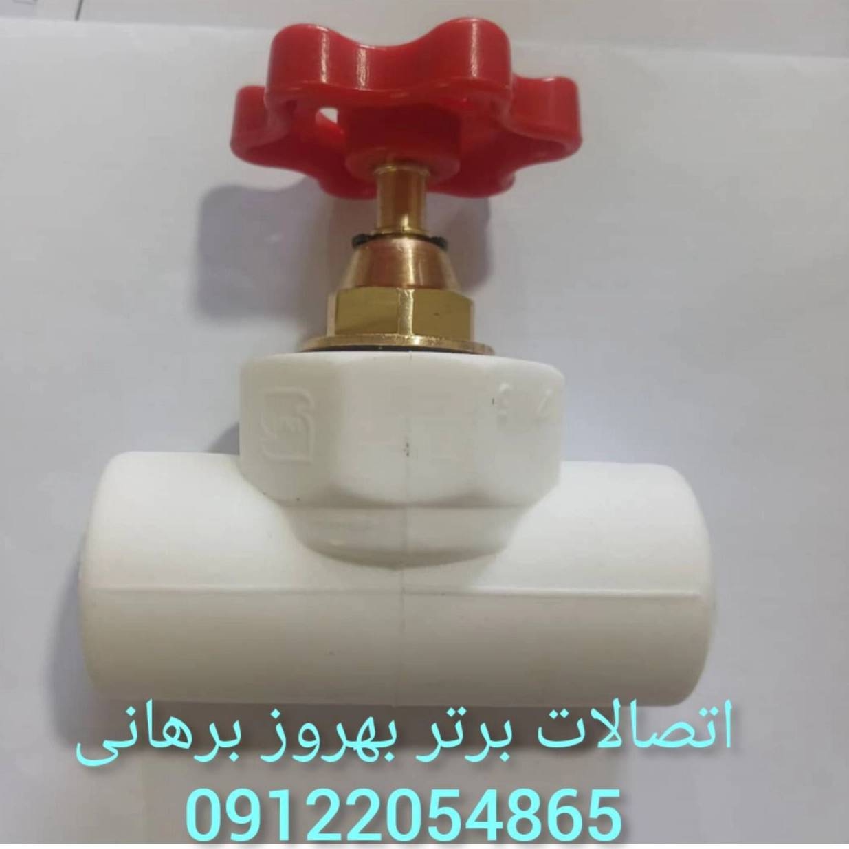 1697362513904.webp