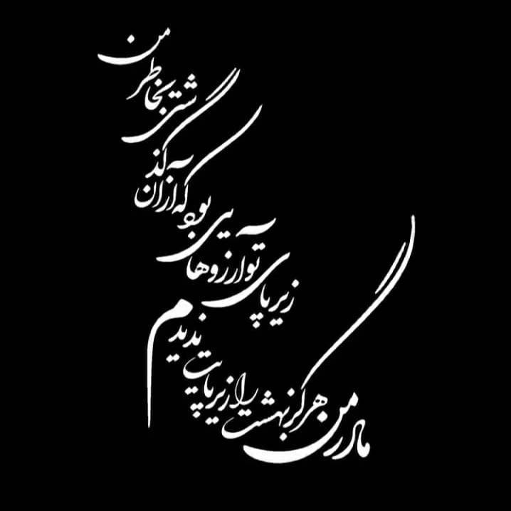 1697623463556.webp
