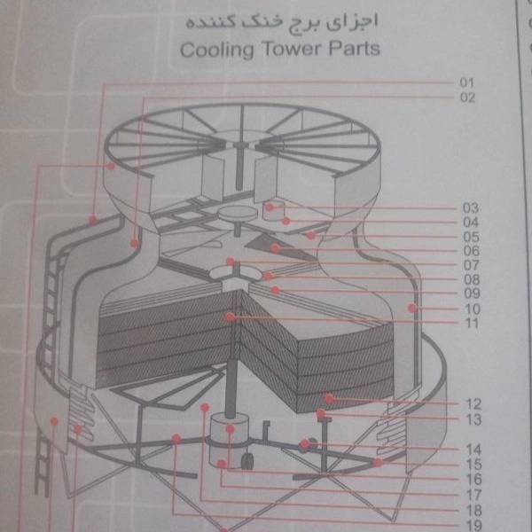 1699689209383.webp