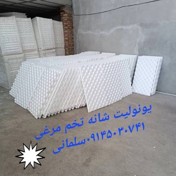 1699787602942.webp