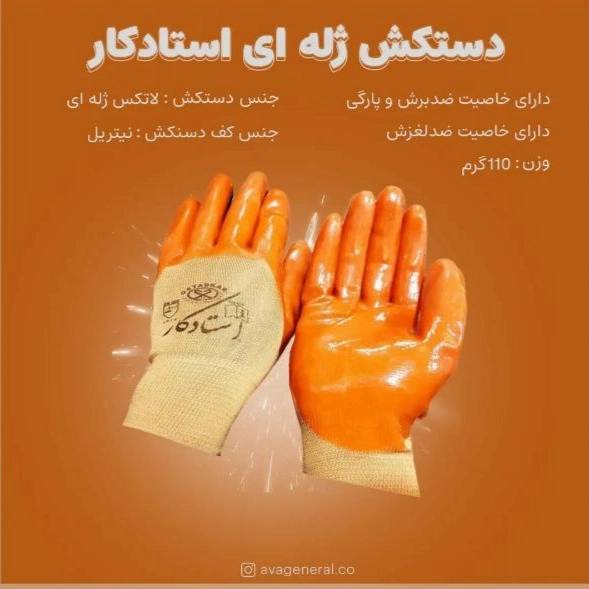 1702982469601.webp