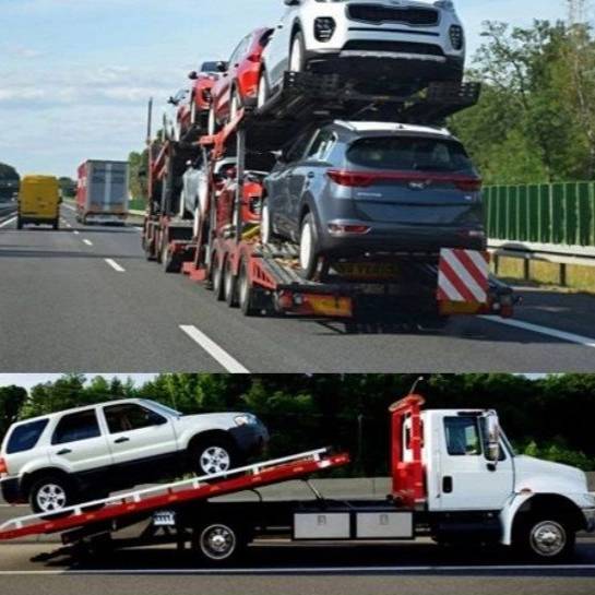 1706614842766.webp