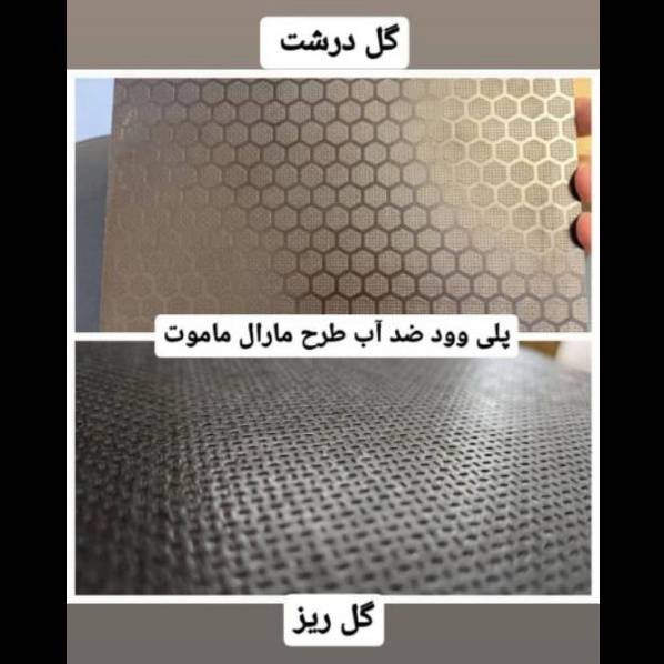 1707549907927.webp