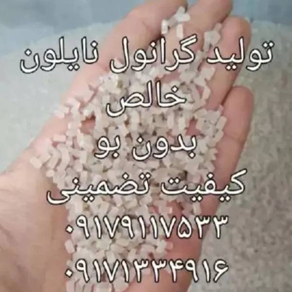 1708501677042.webp