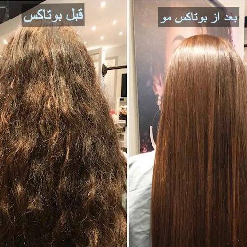 1709103980828.webp