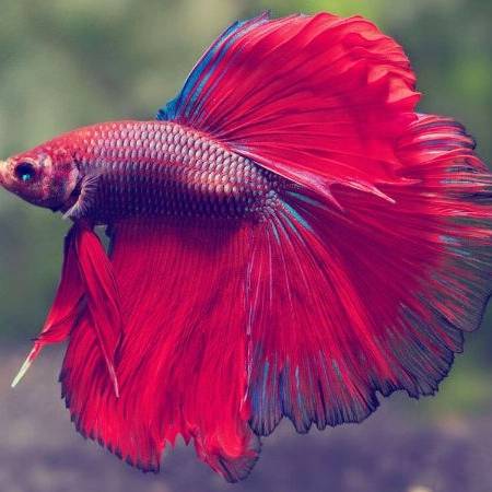 1709365952276.webp