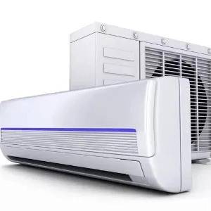 1709545386669.webp