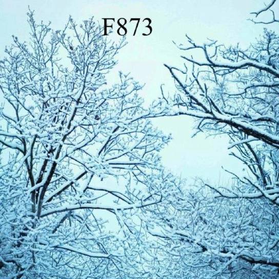 1713435448867.webp