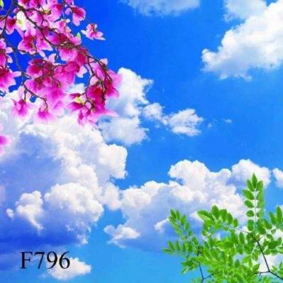 1713435458511.webp