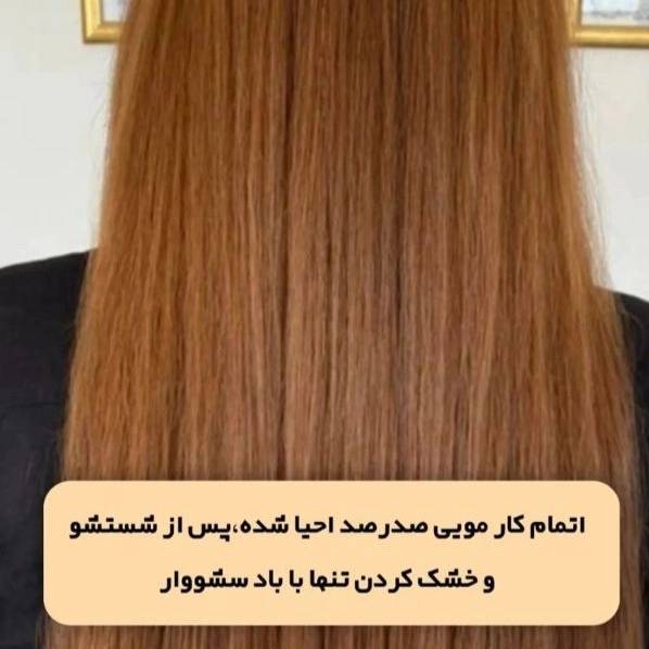 1714565257948.webp