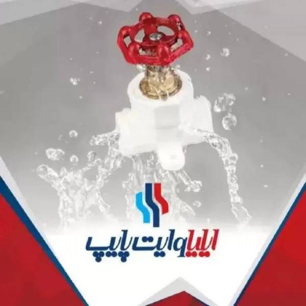 1716966458847.webp