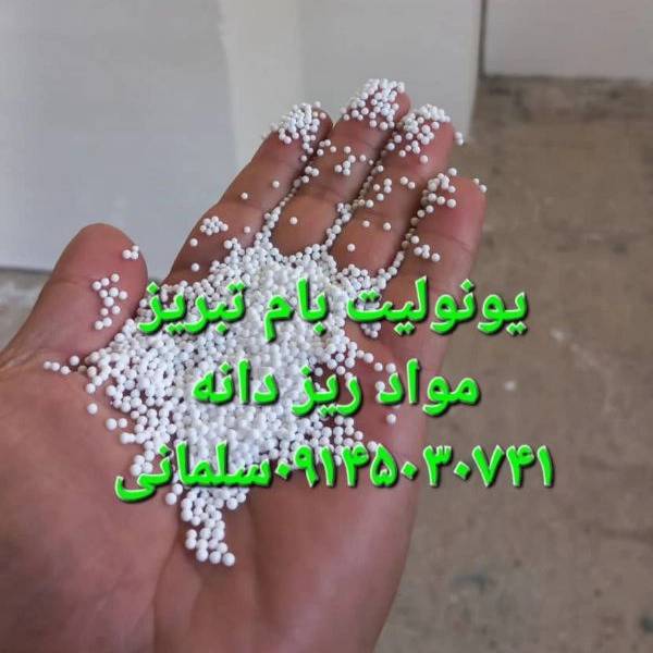1719662865946.webp