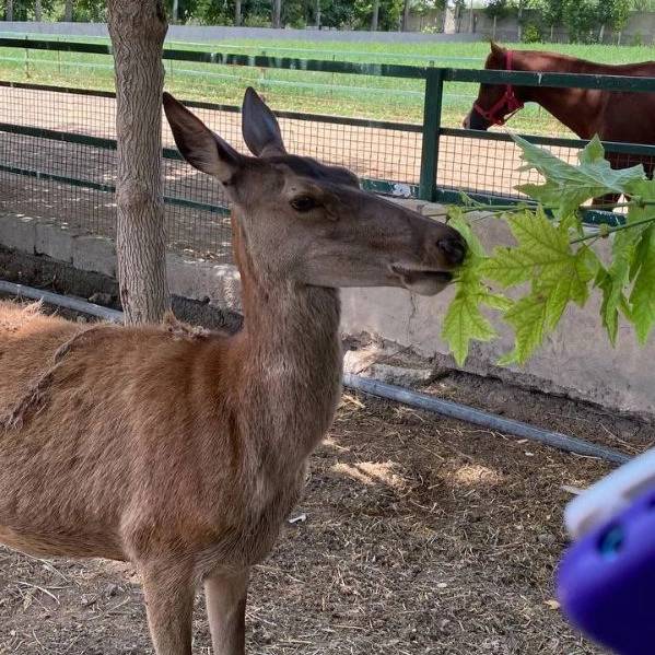 1719815036522.webp