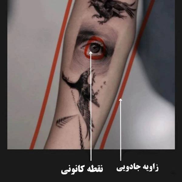 1720871891481.webp