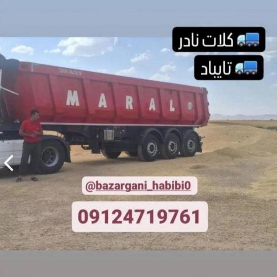 1722333157199.webp